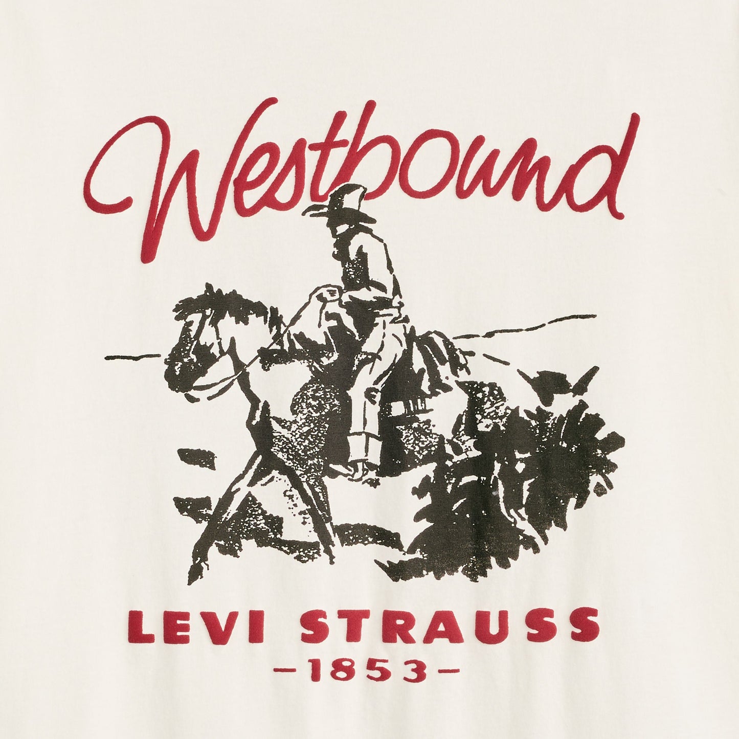 Levi's® Men's Classic Graphic T-Shirt