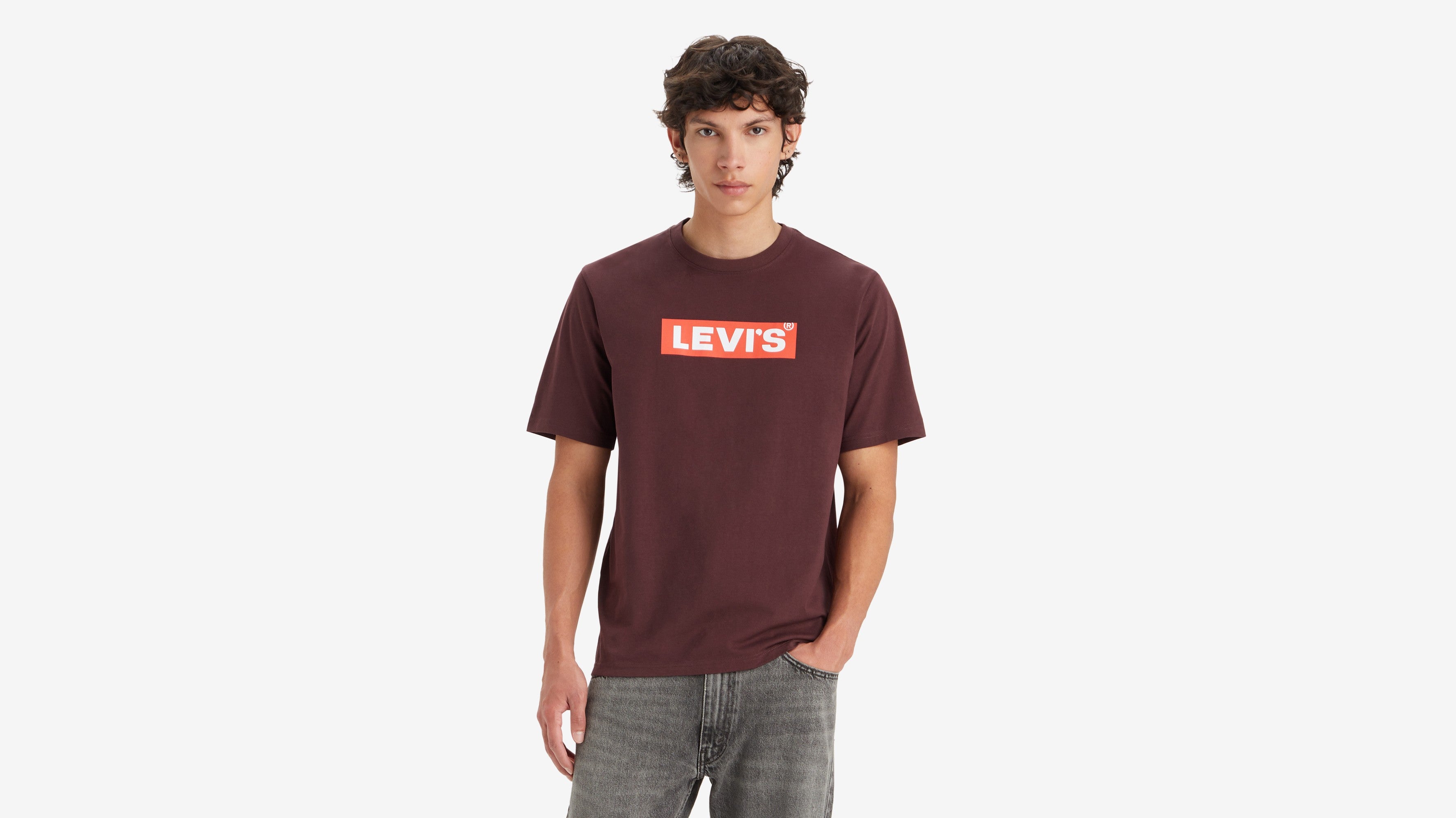 Levi's® Men's Relaxed Fit Short-Sleeve Graphic T-Shirt - Core