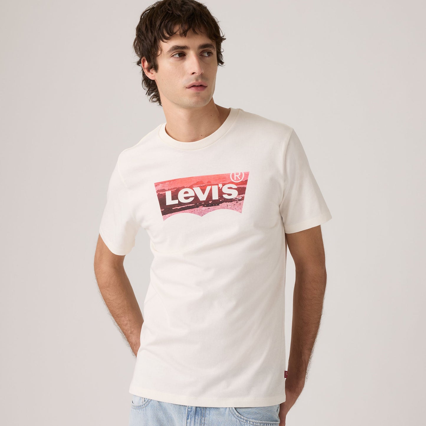 Levi's® Men's Classic Graphic T-Shirt