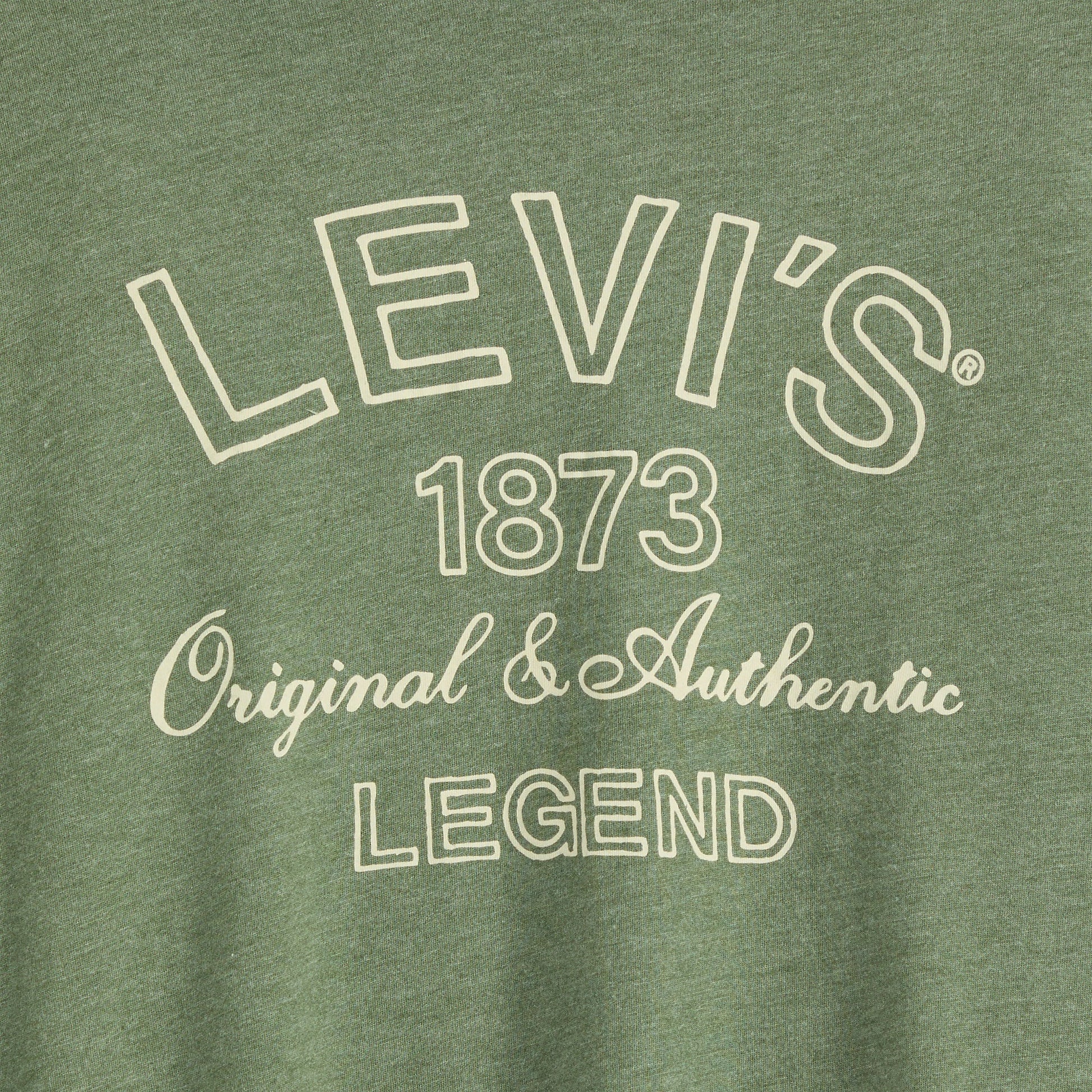 Levi's® Men's Classic Graphic T-Shirt