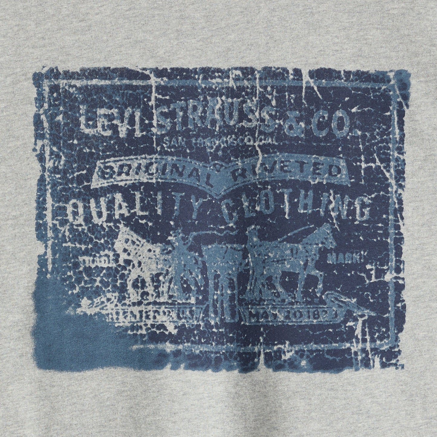 Levi's® Men's Relaxed Fit Short Sleeve Graphic T-Shirt