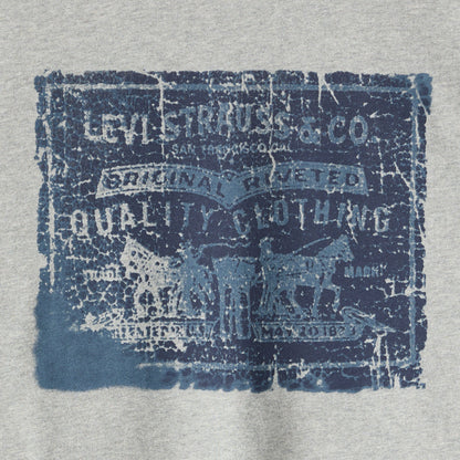 Levi's® Men's Relaxed Fit Short Sleeve Graphic T-Shirt