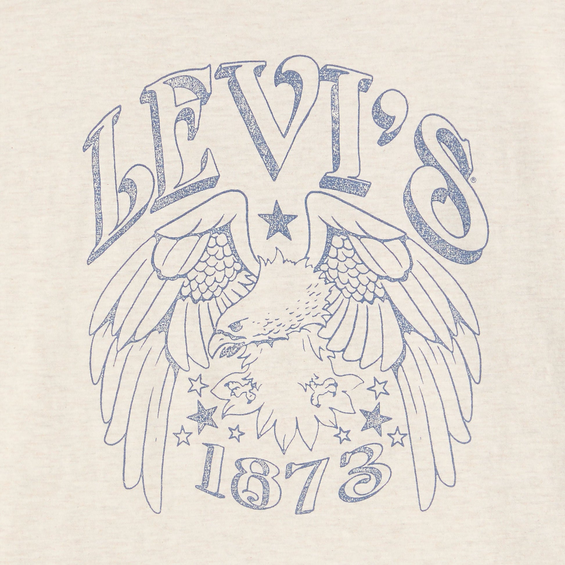 Levi's® Women's Graphic Boxy T-Shirt